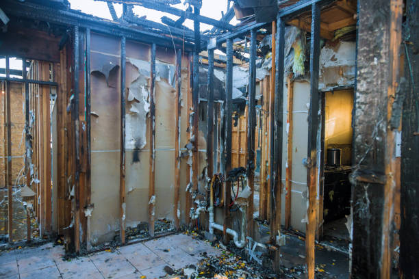 Professional Fire Damage Removal technician working in Willernie, MN